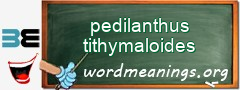 WordMeaning blackboard for pedilanthus tithymaloides
